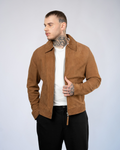 Color 101 - 1 - Vitor_brown_front.jpg